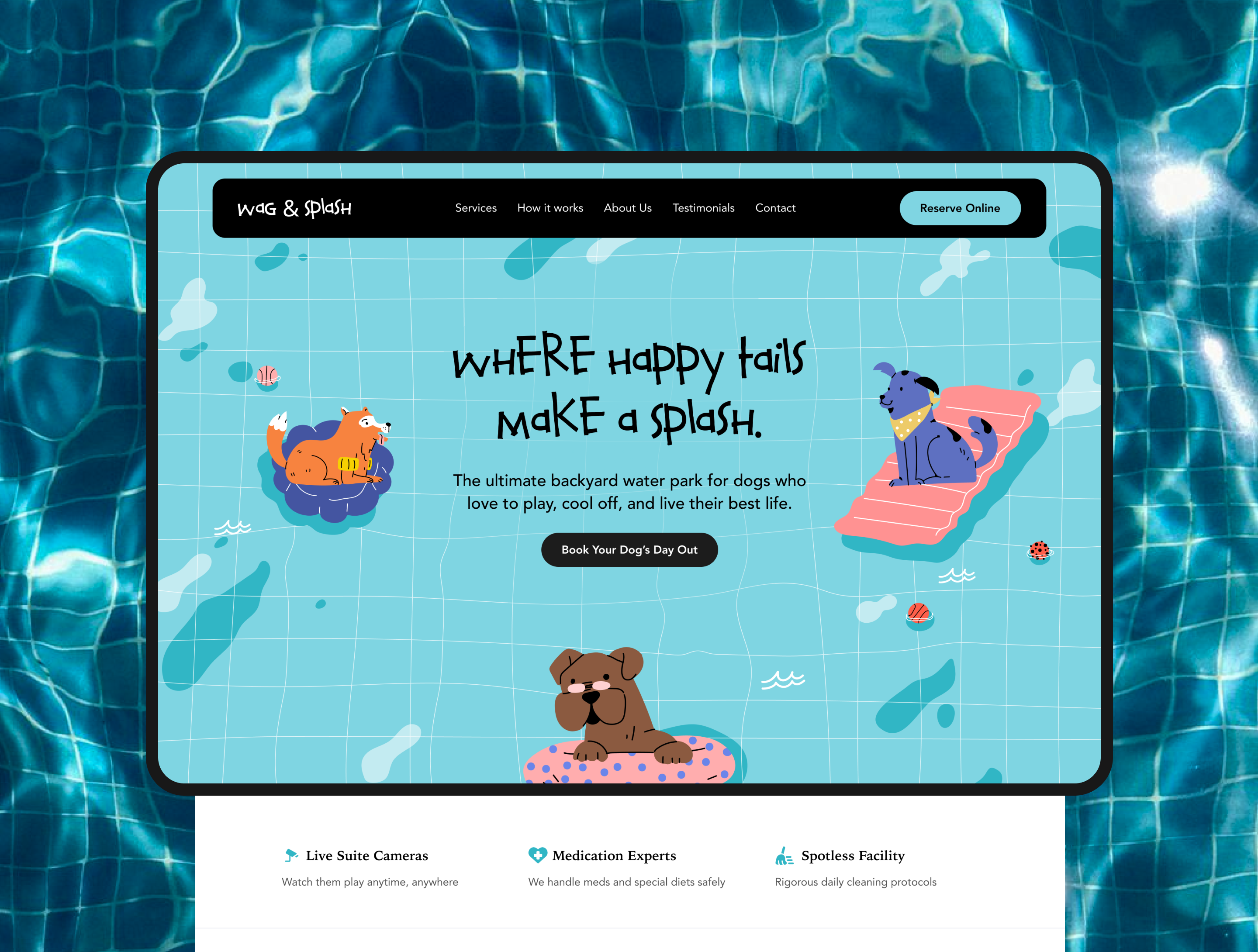 Pet care website showcase card 1