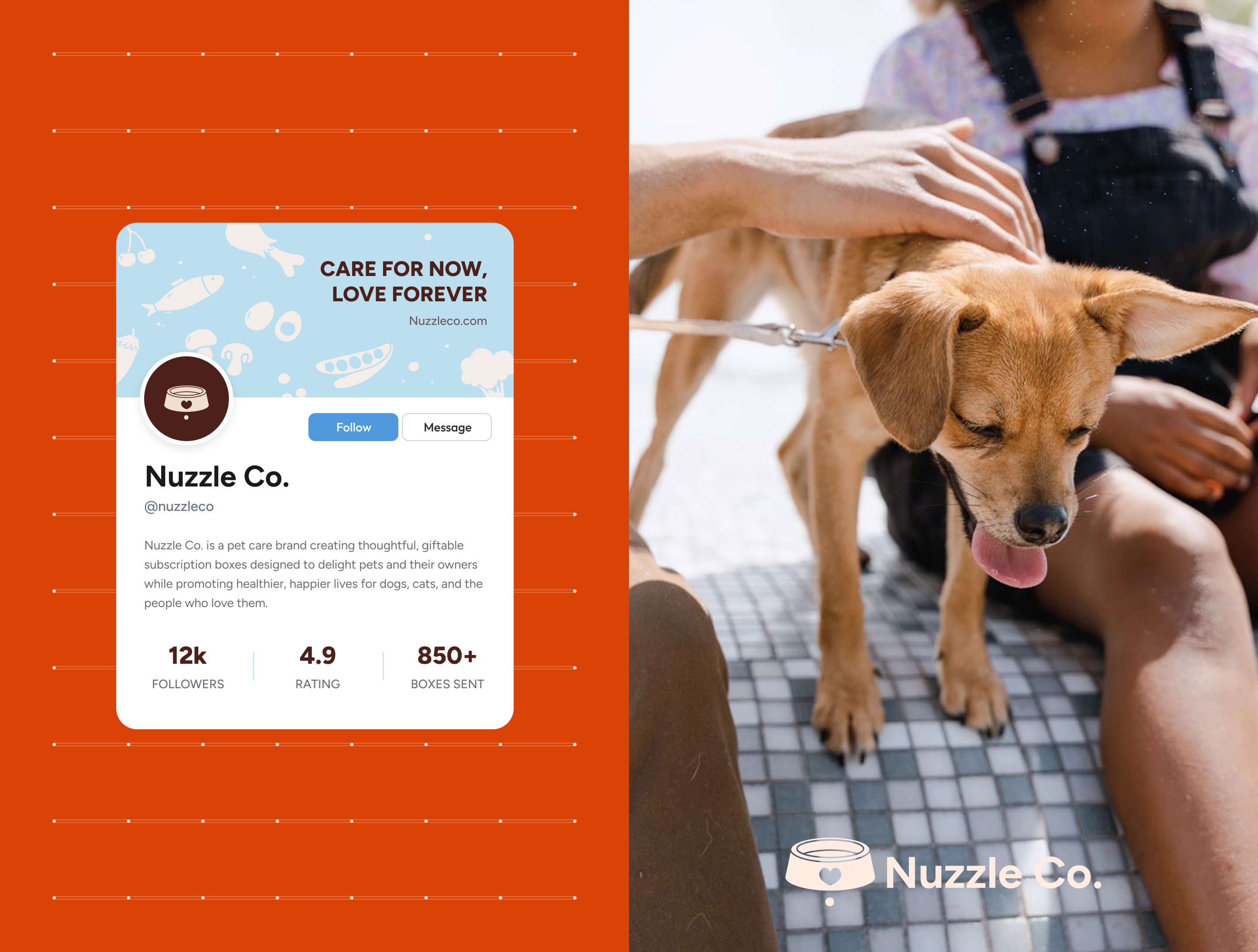 Pet care website showcase card 5