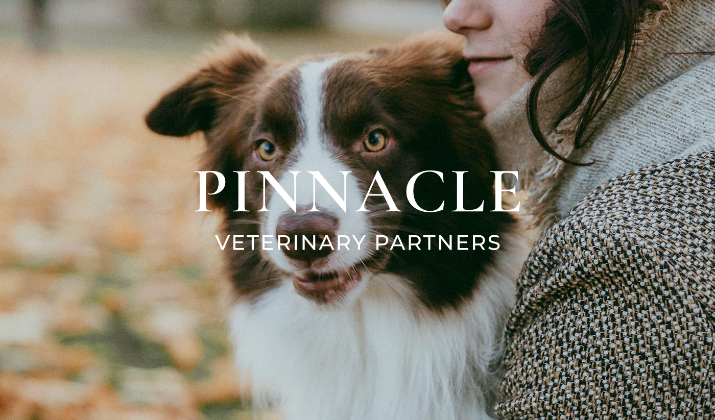 Pinnacle Veterinary Partners case study preview