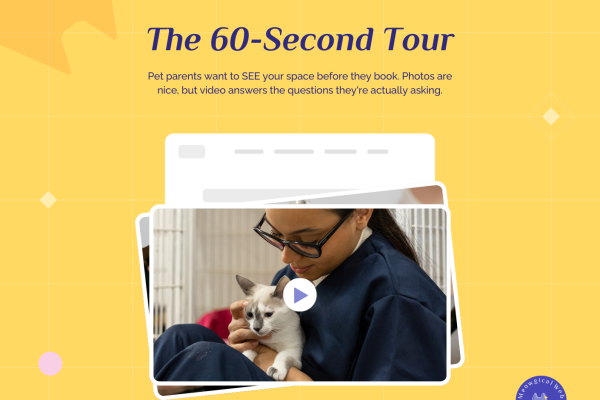 Video play button graphic with text asking if your pet business website has any video content to build trust with potential clients