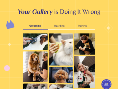 Pet business website gallery showing unorganized photo grid with grooming boarding training tabs demonstrating poor user experience