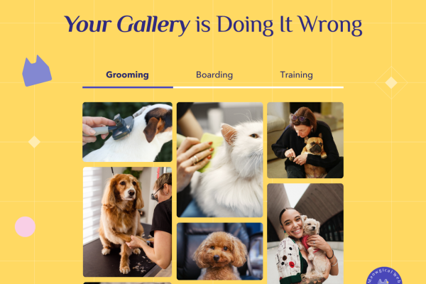 Pet business website gallery showing unorganized photo grid with grooming boarding training tabs demonstrating poor user experience