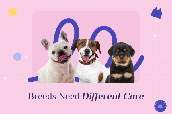 Website visual showing different dog breeds to represent breed specific care messaging on pet business websites.