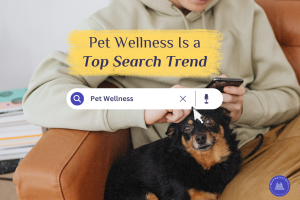 Pet parent searching for pet wellness information on a mobile phone while sitting with their dog at home.