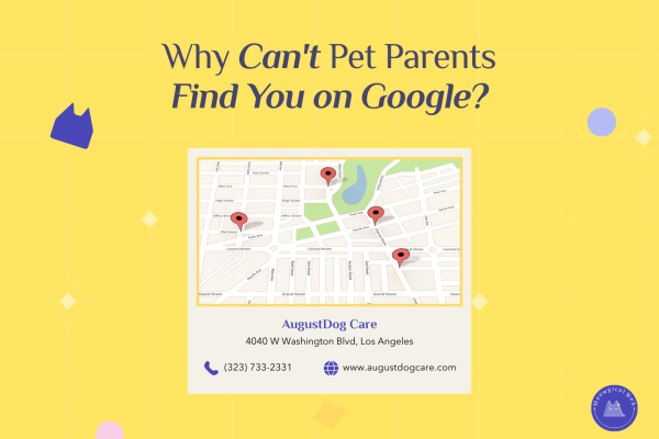 Google Maps showing multiple pet business location pins with contact information for local search visibility