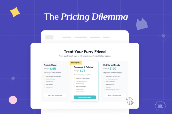 Pet grooming pricing page showing three service tiers with clear prices and package details for transparency