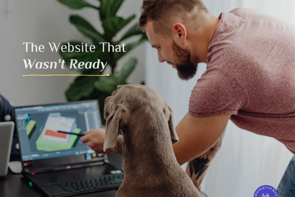 Man with dog looking at computer screen showing website design work representing small business preparing to launch