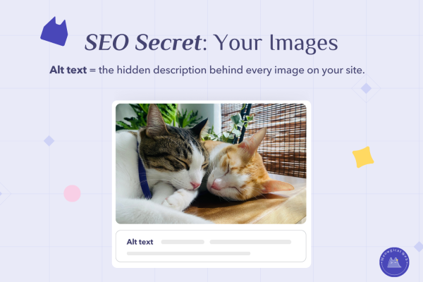 Two cats cuddling together showing pet business SEO alt text image optimization tutorial interface