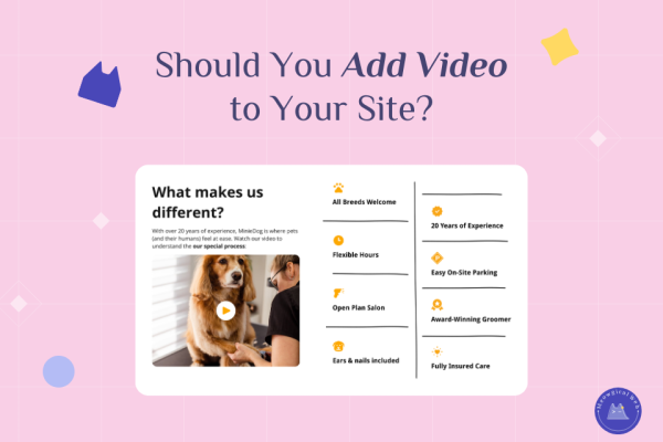 Pet business website showing video content strategy with grooming service video and text features list
