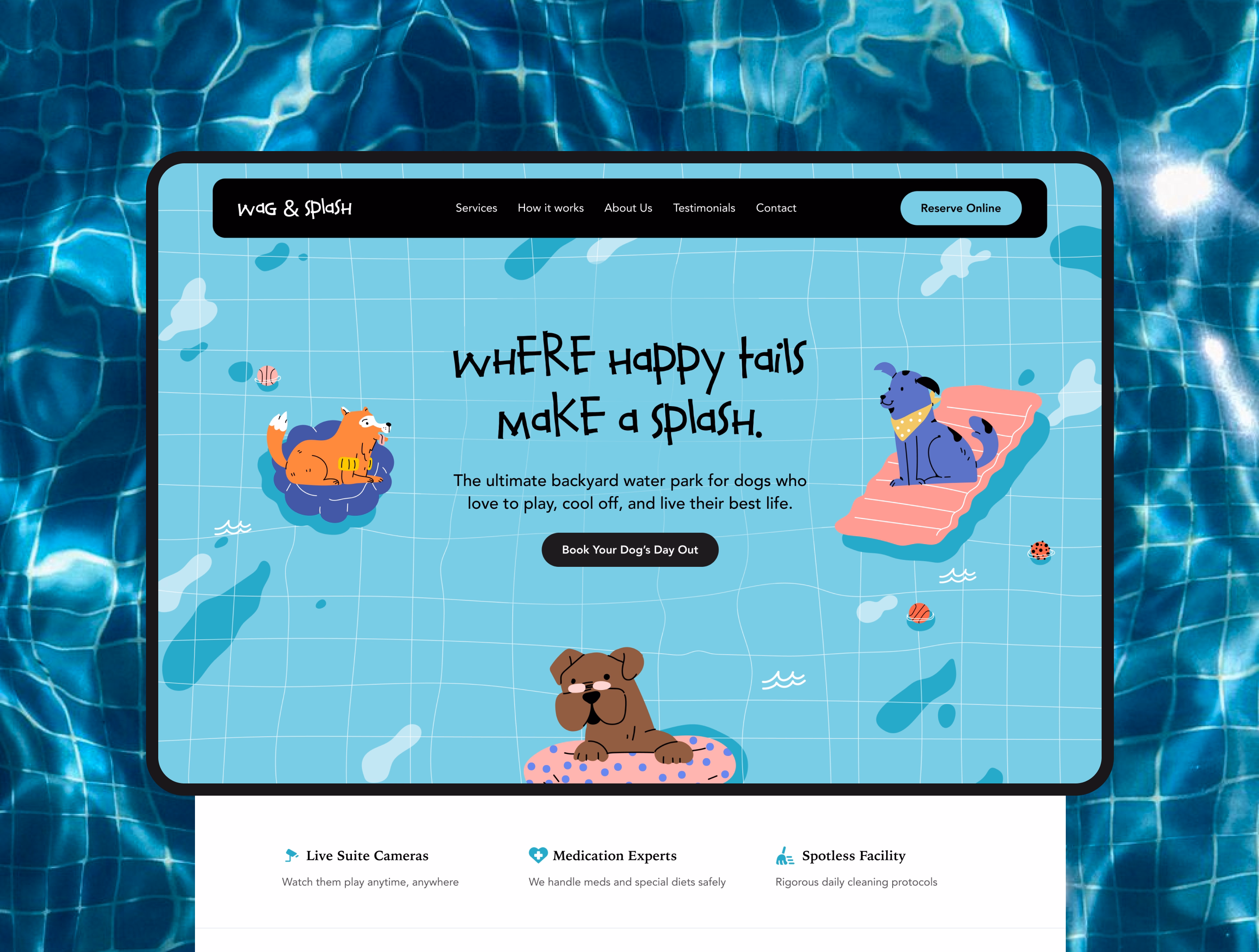 Pet care website showcase card 1