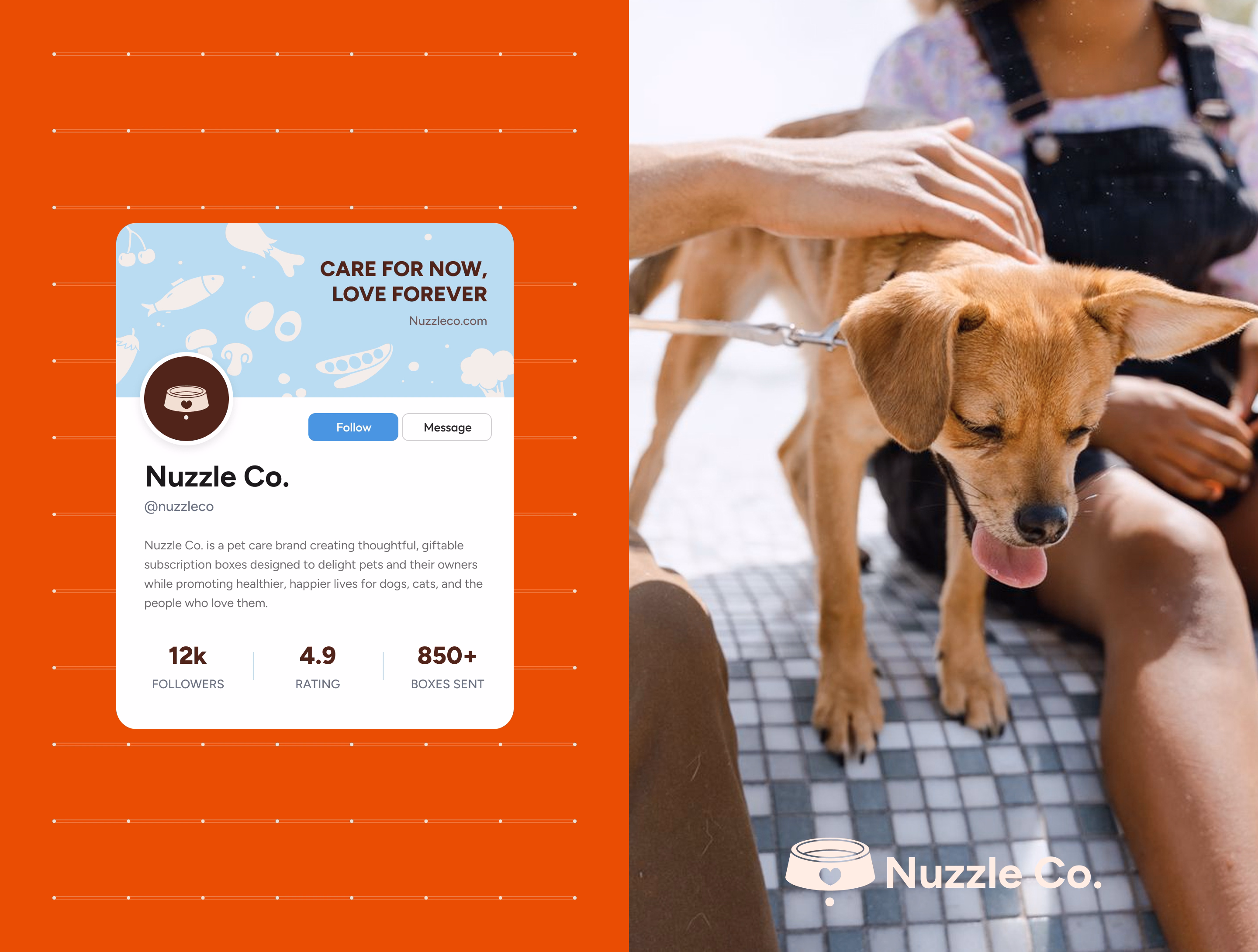 Pet care website showcase card 5