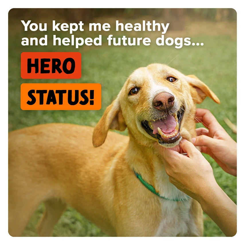 A rescued pet made possible thanks to animal lovers